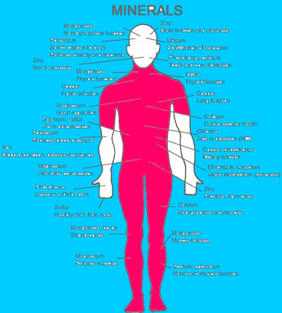 Mineral Substance Required By Body New Science Biology