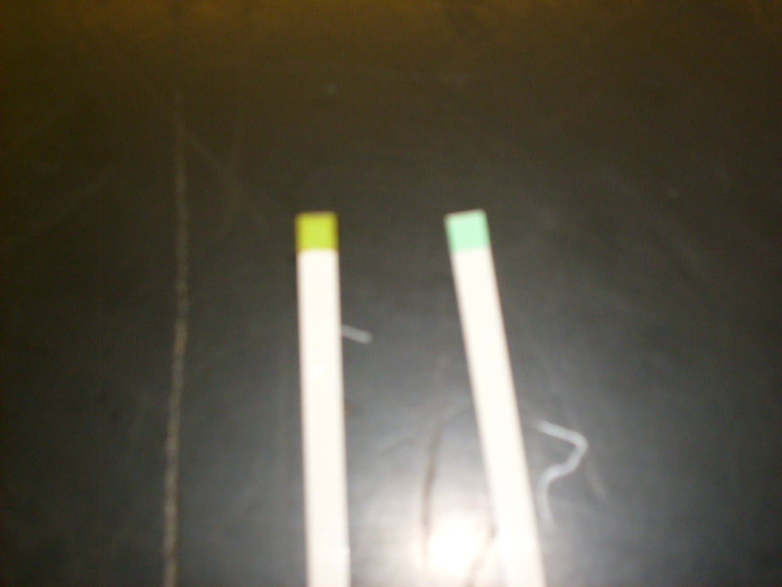 EC Honors Biology Tuesday September 29th Lactase and the effects of