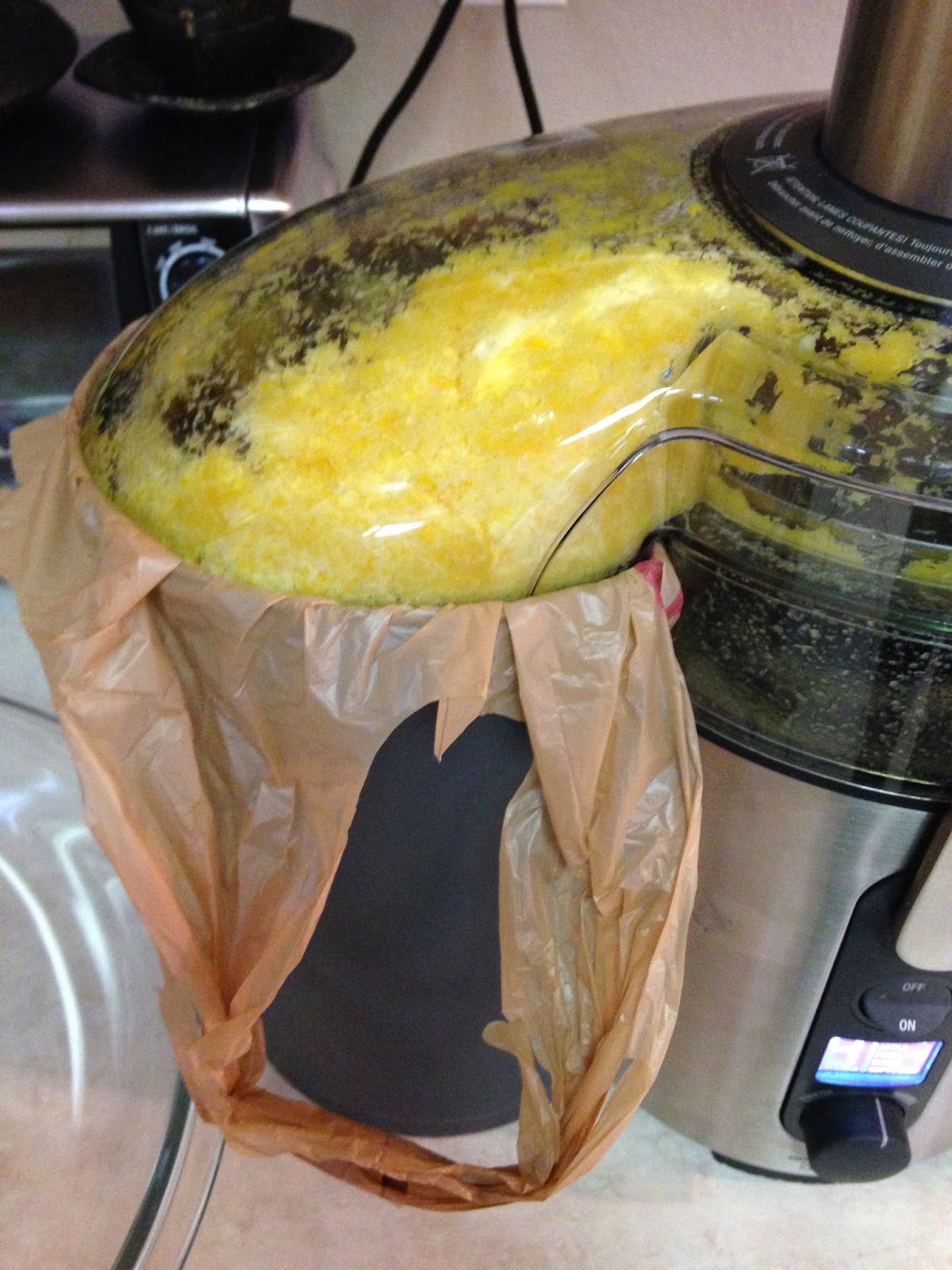 Sparkling from the Inside Out 15 Ways to Use the Leftover Pulp from your Juicer!