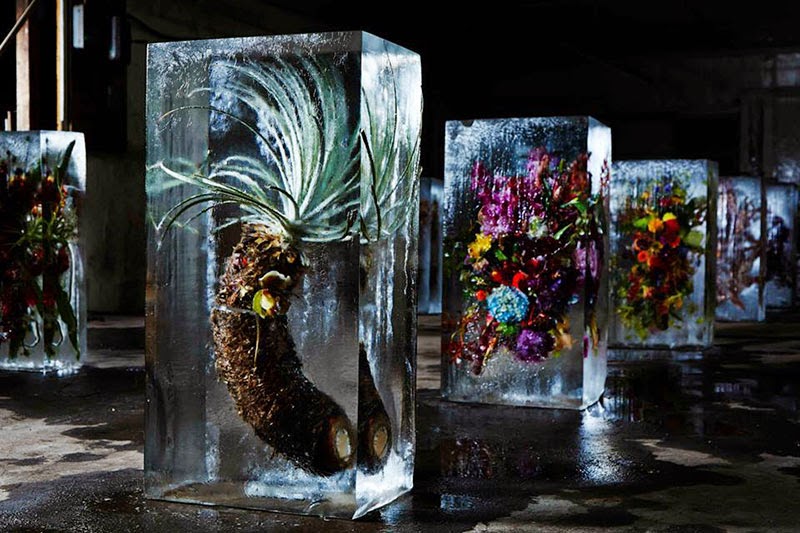 Iced Flowers de Azuma Makoto
