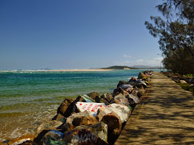 Sabi In Maryland November 2011