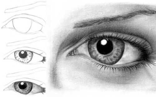It is good to first observe how the eyes look even before we draw the first 