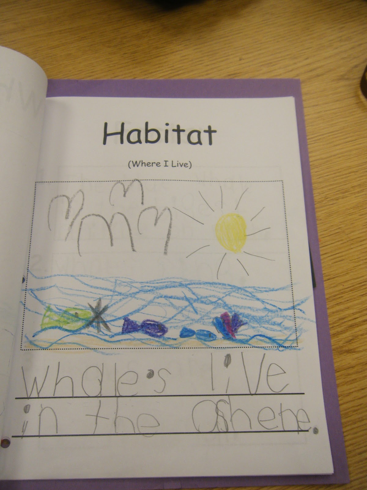 Ms. M.'s KG Class: Kindergarten Informational Non-Fiction Report Writing