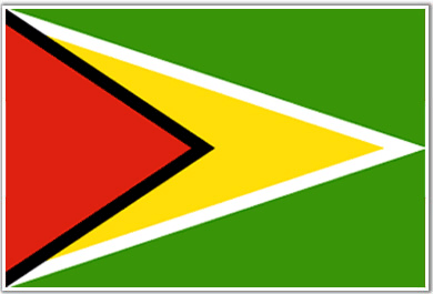 Guyana Flag