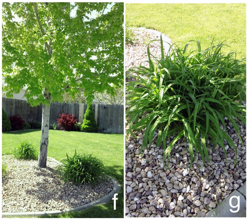 Blog Marrazzo S Manor Lane Florist Yardley Pa