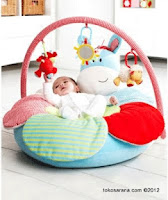 ELC Blossom Farm 3 in One Sit Me up Cozy