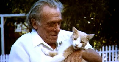 A Year Of Being Here Charles Bukowski My Cats