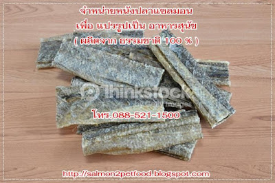 ขายส่ง วัตถุดิบ ผลิต อาหารสุนัขเกรดพรีเมี่ยม ( หนังปลาแซลมอน  Salmon Skin Chews)100% Natural Wild Gourmet Salmon Treat