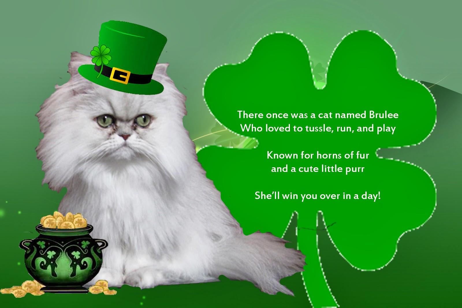 Truffle is guarding the pot of gold!