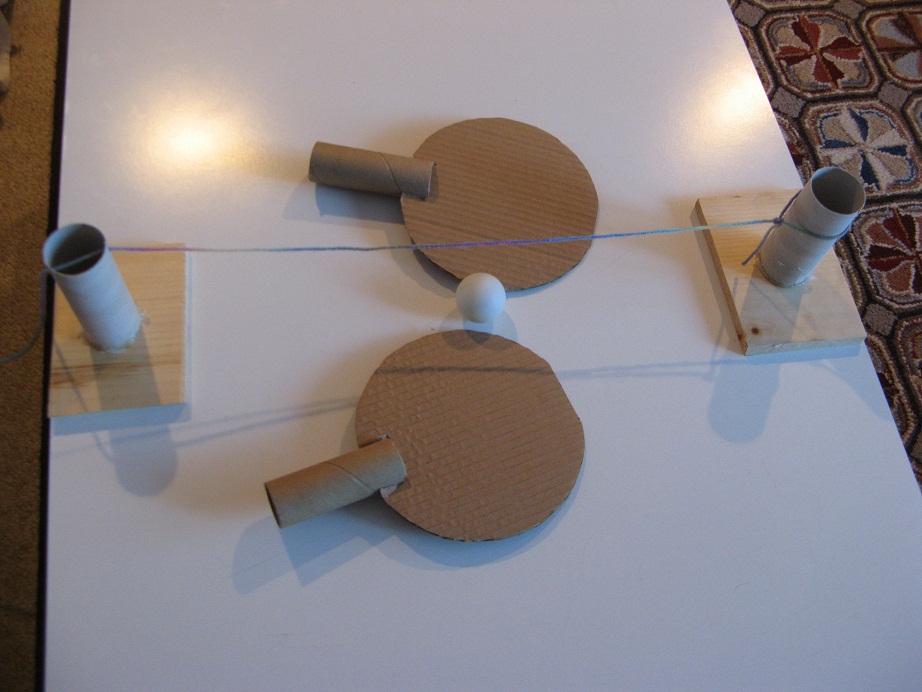 Gingham Cherry DIY ping pong