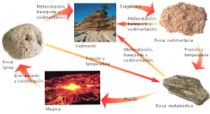 ciclo de la roca