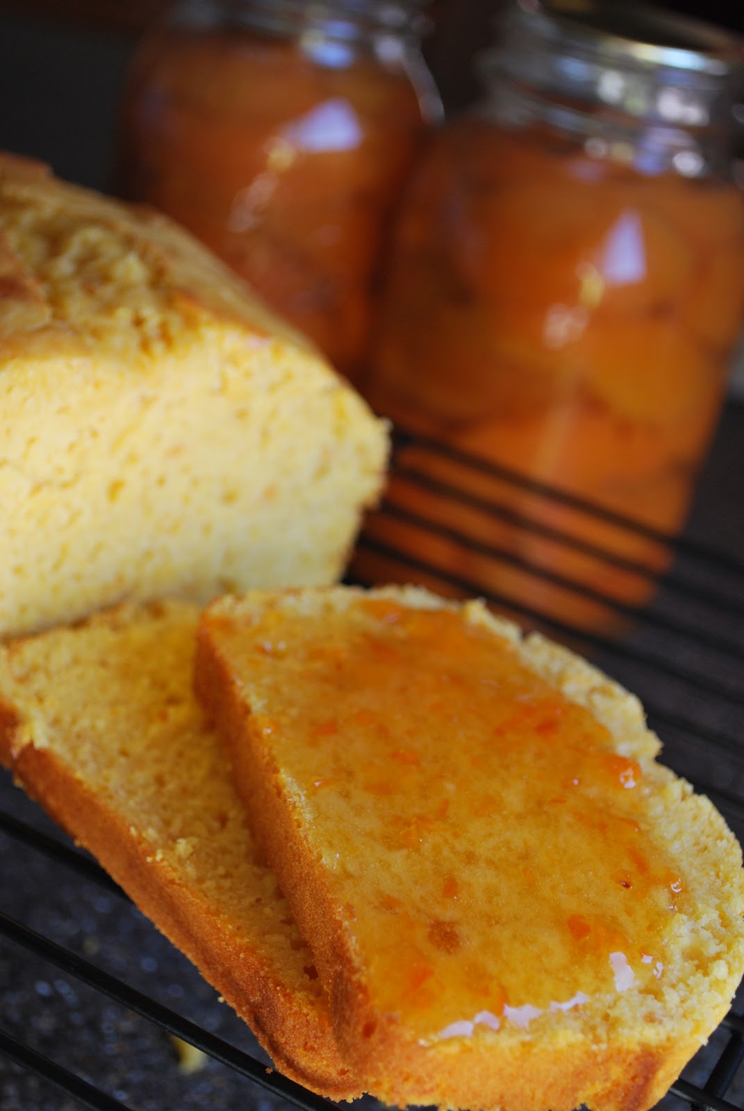 Country Cookin' Apricot Bread