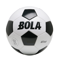 Proyecto Bola