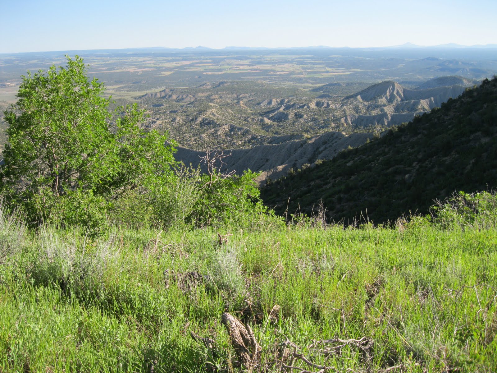 Four Corners HikesMesa Verde Knife Edge Trail Bird Hike