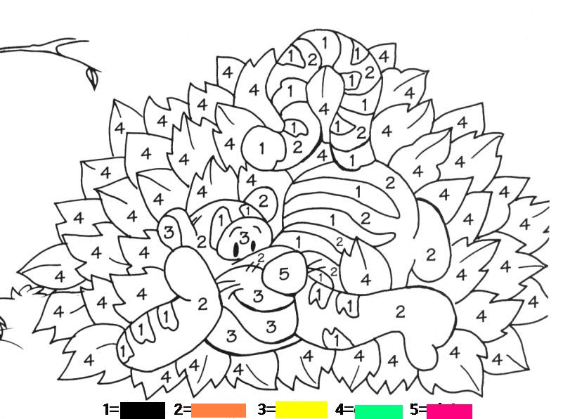 Adult Color by Number Coloring Pages