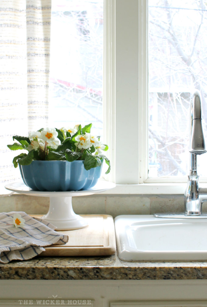 Bundt pan planter The Wicker House