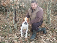 Compañeros de caza y perros