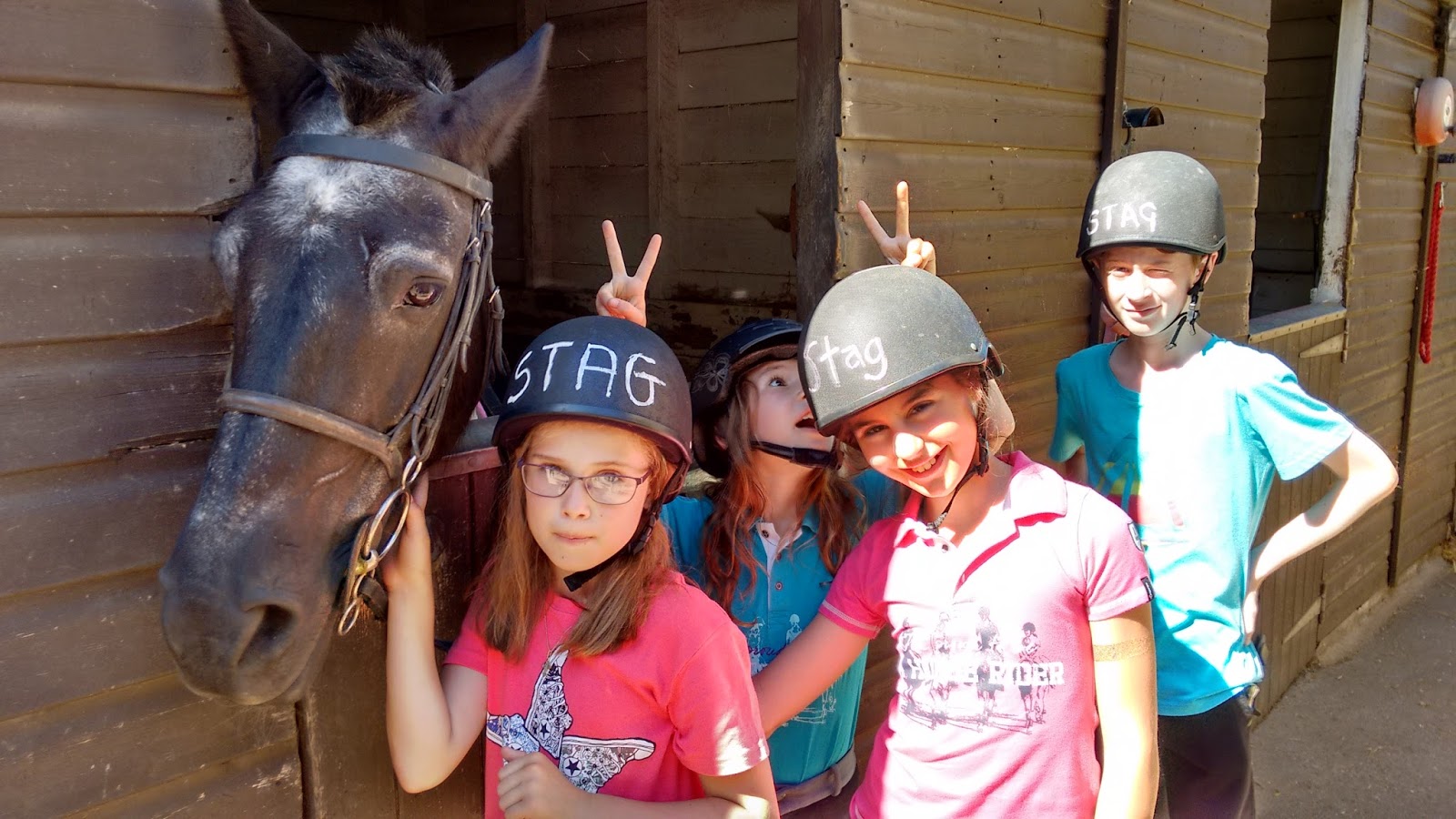 Horse riding in Richmond Park