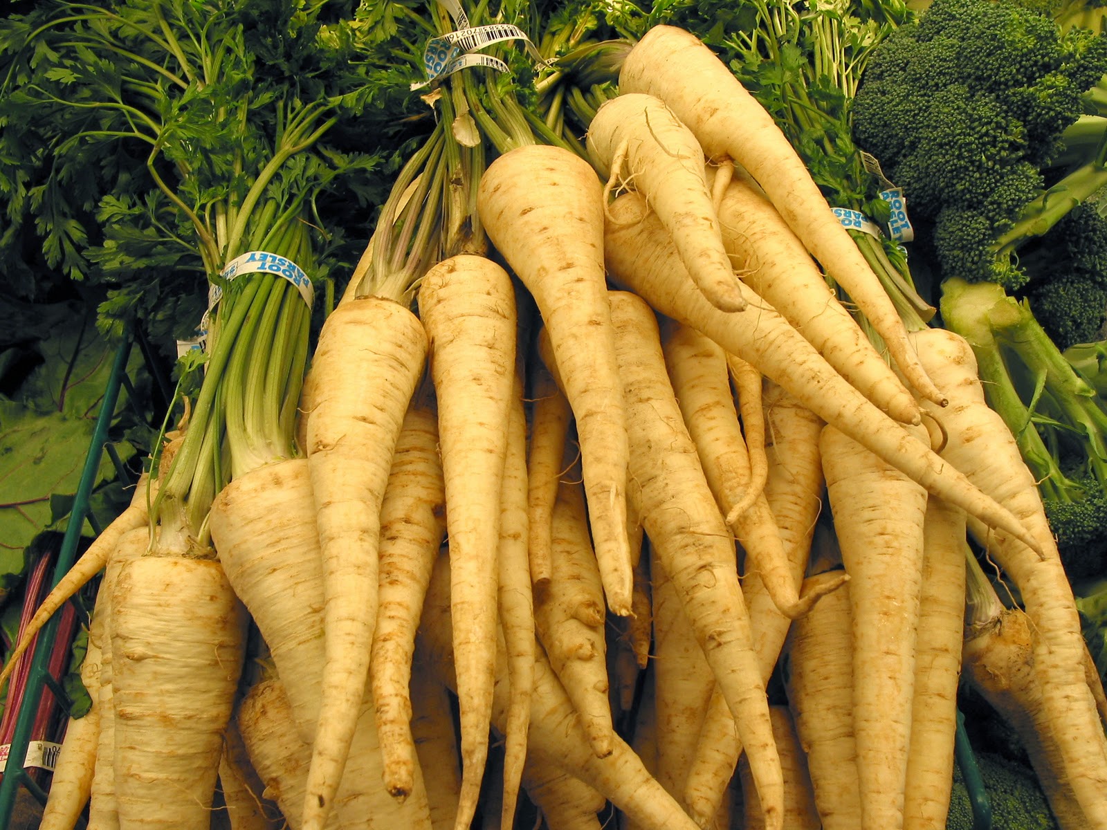 E is for Eats Parsley Root