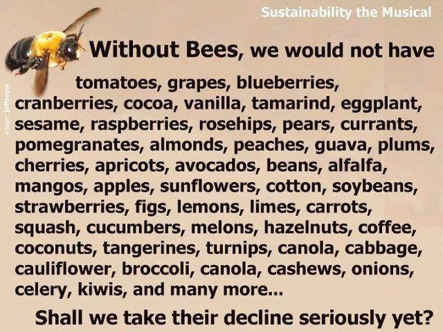 Zonder bijen: geen voedsel, geen leven...