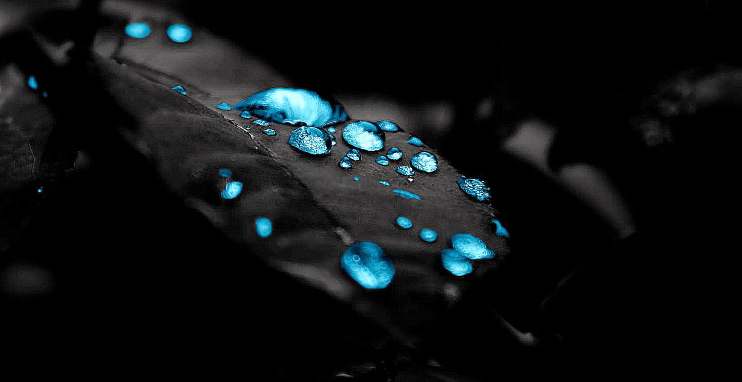 Blue raindrops wallpaper 2560x1600 27152 High Quality and Blue raindrops wallpaper 2560x1600 27152 High Quality and