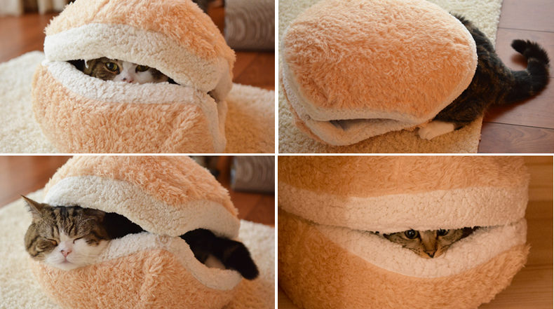 Esponjoso Escondite del Gato alias hamburguesa de gato gigante