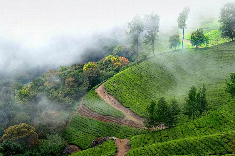 Kerala Tour Packages