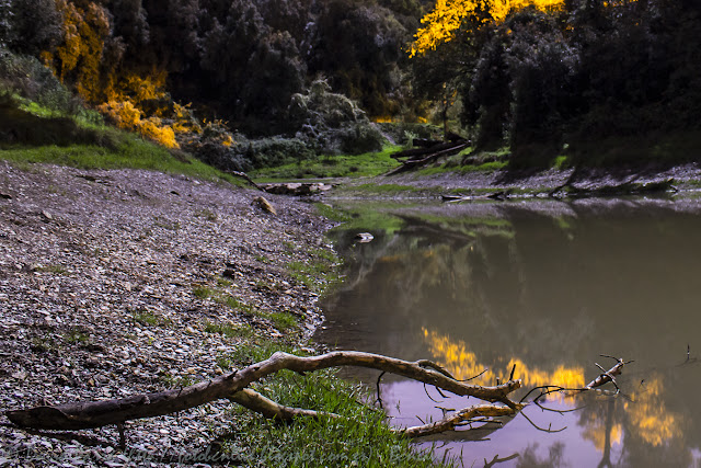 Pantano de Vallvidrera