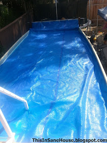 solar ground above diy reel pool roller thisinsanehouse swimming pools completed