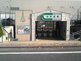 山万ユーカリが丘線のこあら号の写真 バッドコアラ通信簿