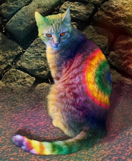 http://1.bp.blogspot.com/-rzPmkwyIYzw/TjTcyOxwYJI/AAAAAAAAEmY/S3Qco8kvPDI/s320/tie-dyed-rainbow-cat.jpg