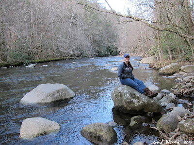 sitting on a river rock in the smokey mountain national park