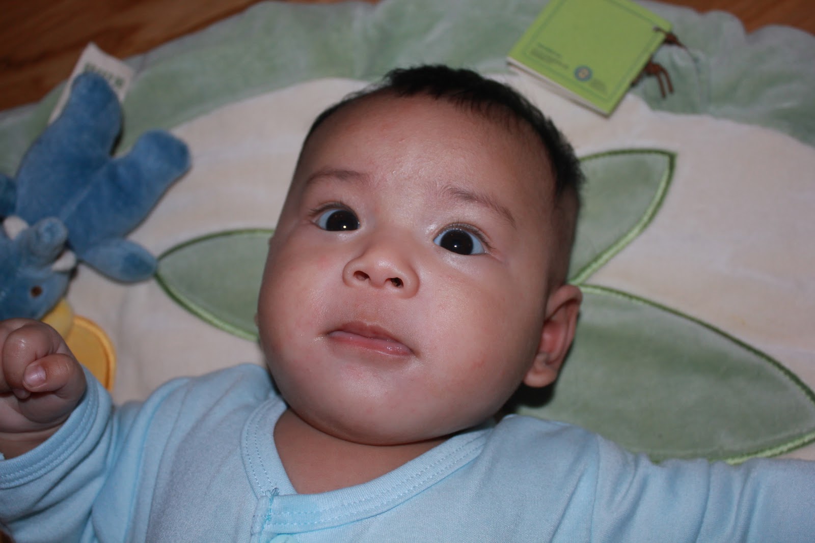 Imran Taib Marissa Nur Humaira