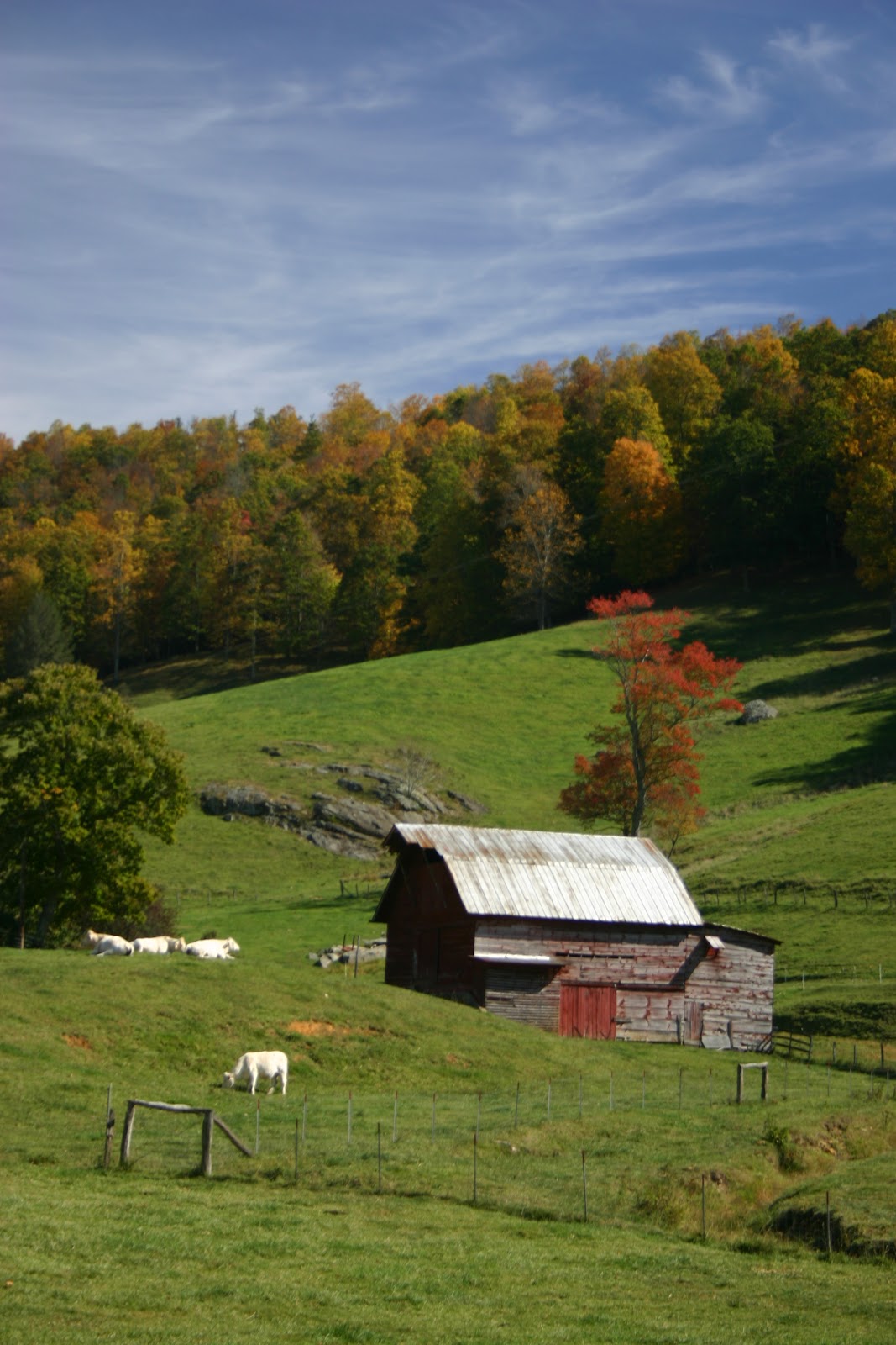 The Cove at Celo Mountain Blog The Cove at Celo Mountain Between