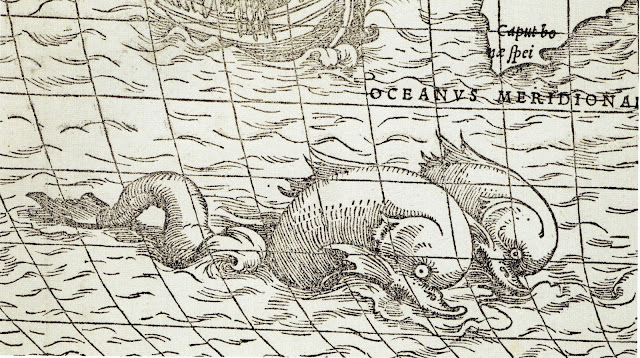 Sea Monsters on Medieval + Renaissance Maps by Chet Van Duzer (British Library 2013)