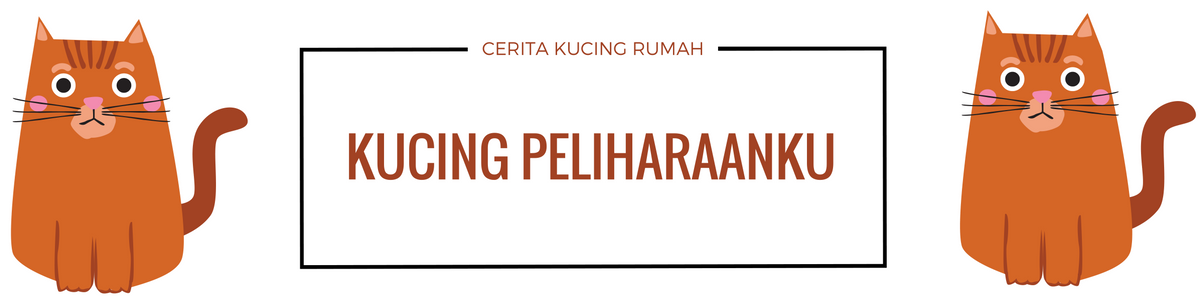 Kucing Peliharaanku