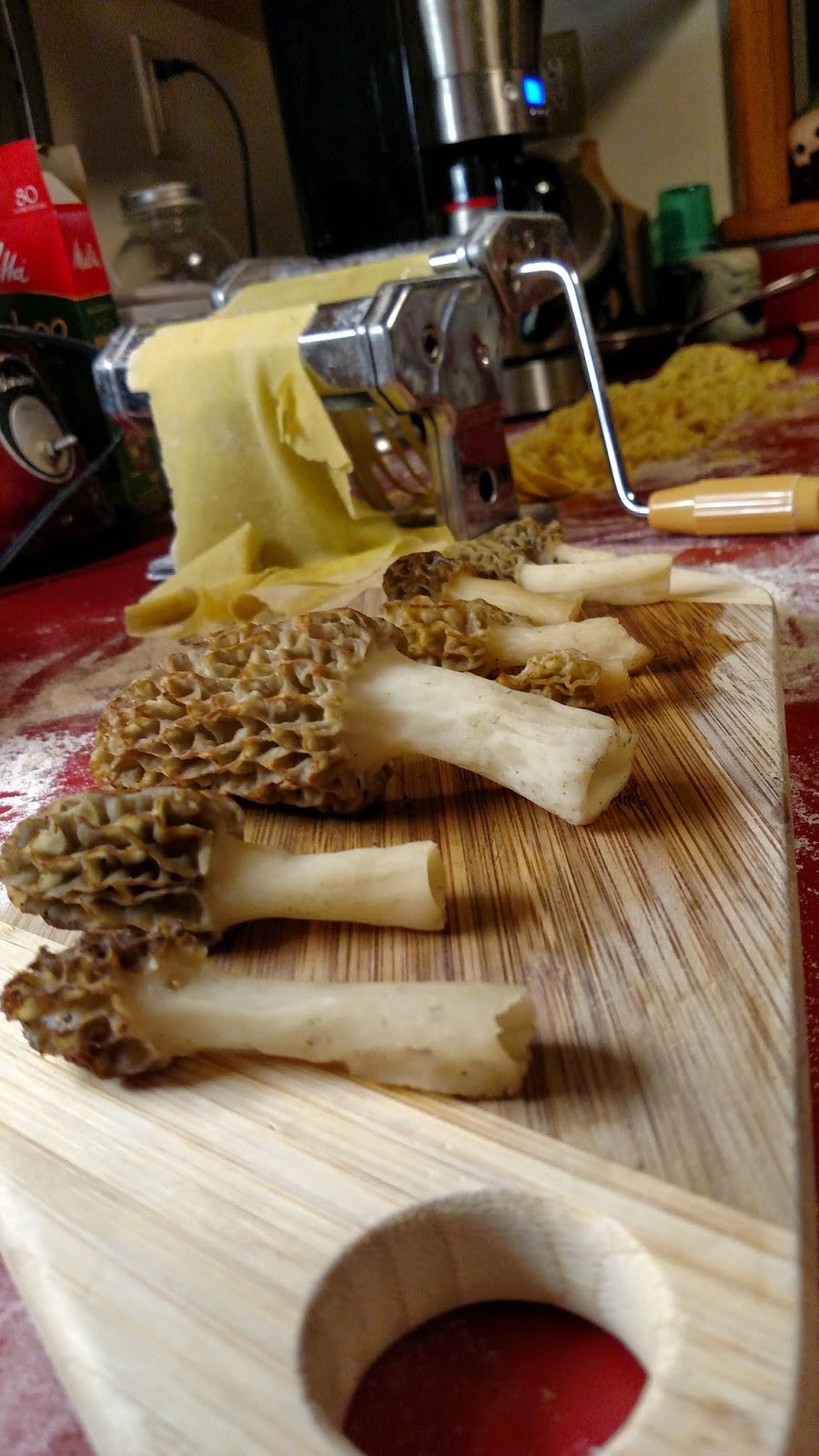 Hunting Morel Mushrooms in Central PA