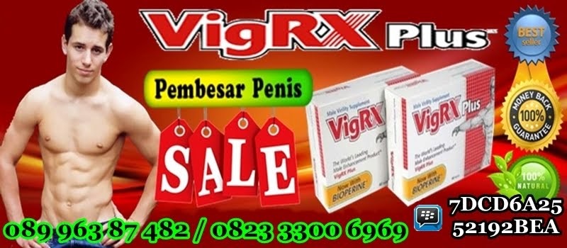 gudang vigrx,vigrx original,jual vigrx murah,pembesar penis,pembesar penis cepat,pembesar zakar