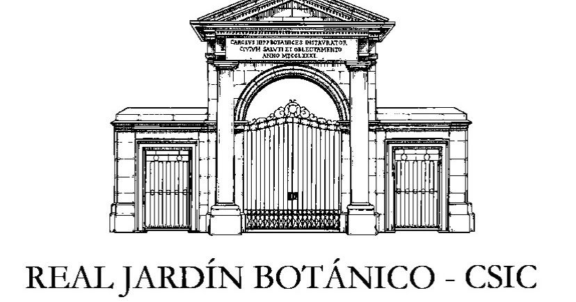 La ventana de mi clase: NUEVO PROYECTO: LAS FLORES