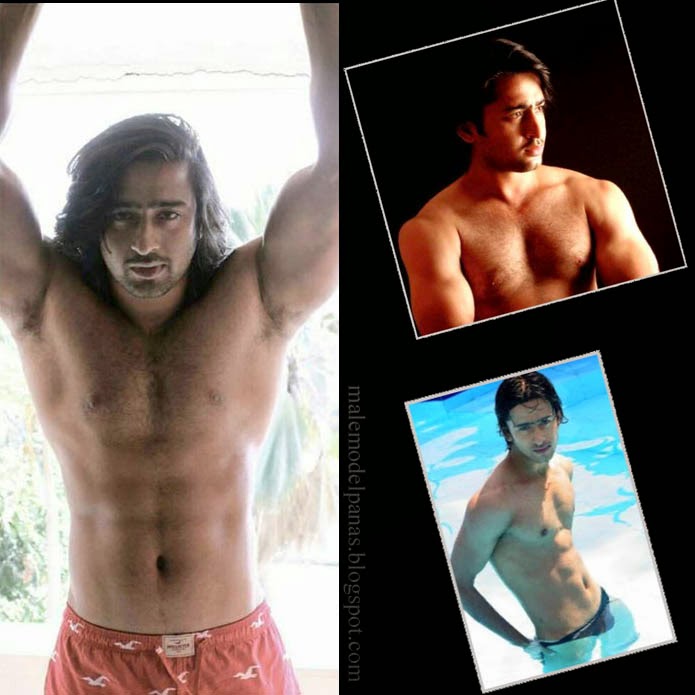 shaheer sheikh body