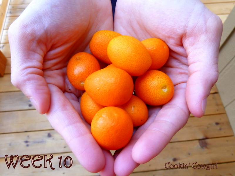 Cookin' Cowgirl Pregnancy Foodie Project