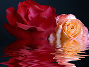 I love you for infinite reasons. (pretty roses roses )