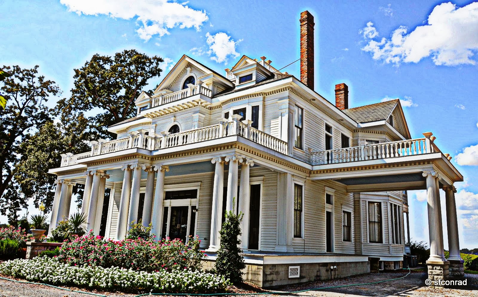 PUPPY PATHS RVing FullTime Catching Up!! + Beulah Lake, Aunt