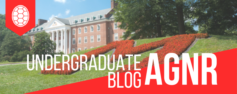 AGNR Undergraduate Blog