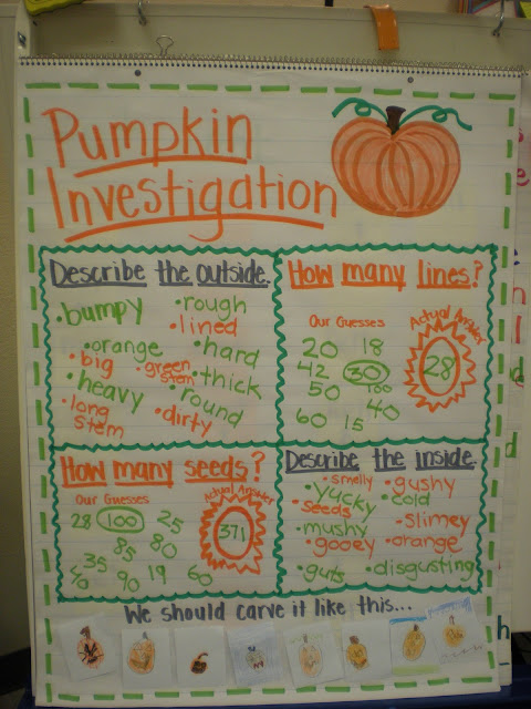 Pumpkin Investigation #2