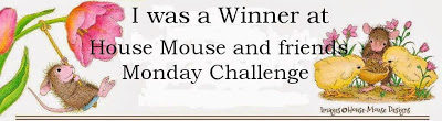 House Mouse Challenge Winner