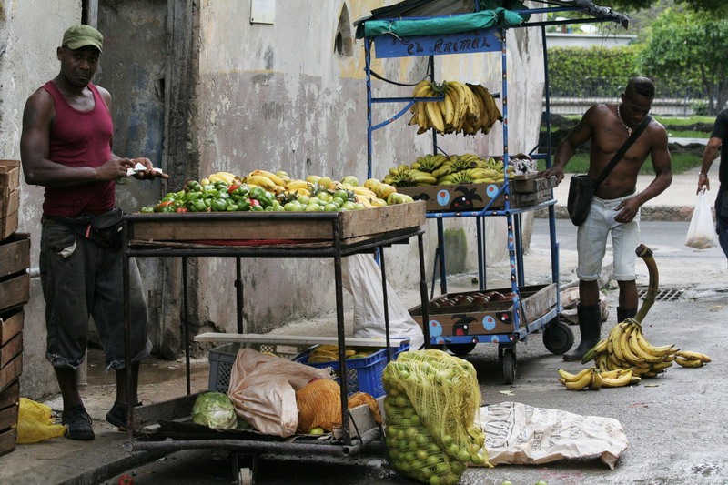 0007.JPG (800&times;533)