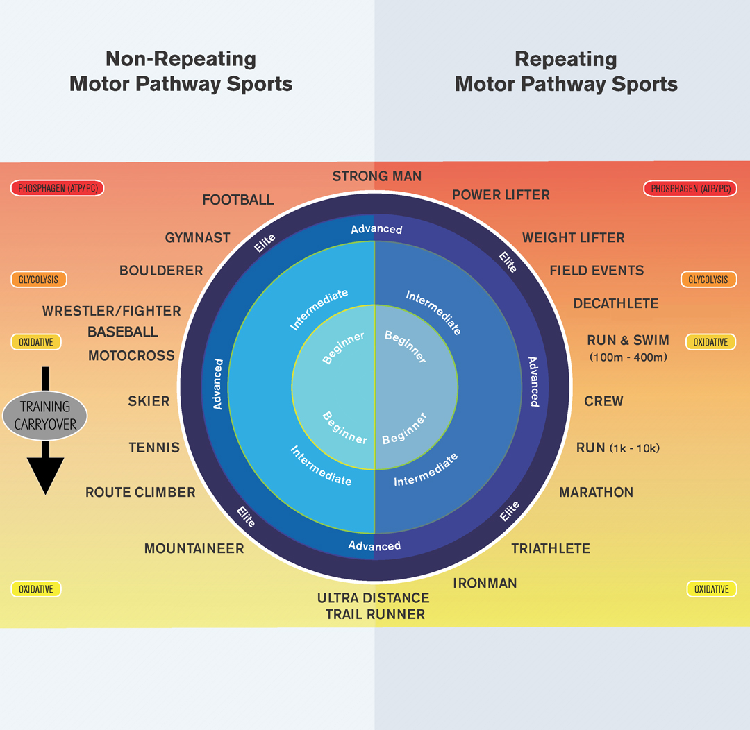 The Straight Dope The Map Of Athletic Performance