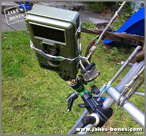 Everything I Ve Learned About Trail Cameras Jake S Bones