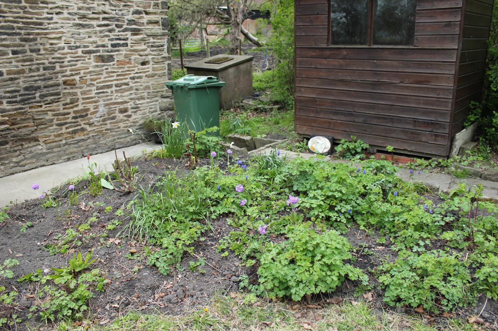 The Modern Cottage Gardener